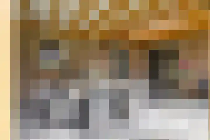 Boskdobbe 5 Frieschepalen thumbnail 52