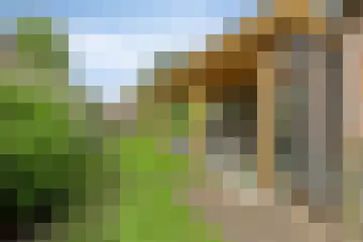 Boskdobbe 5 Frieschepalen thumbnail 54