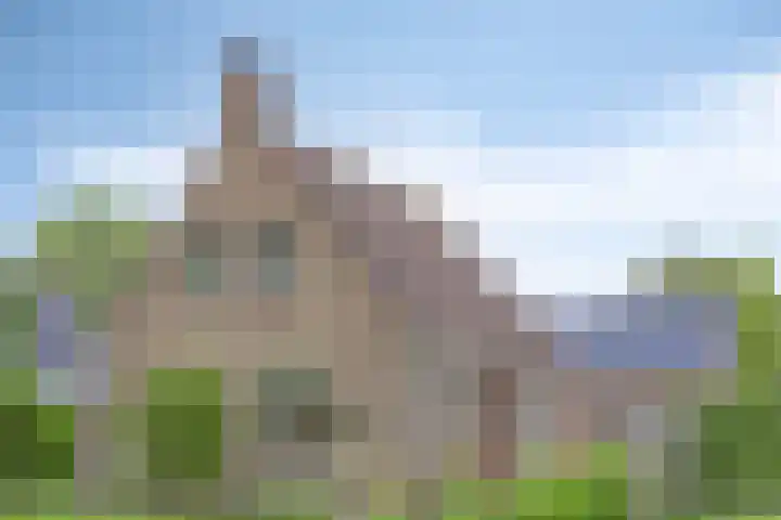 Boskdobbe 5 Frieschepalen thumbnail 58