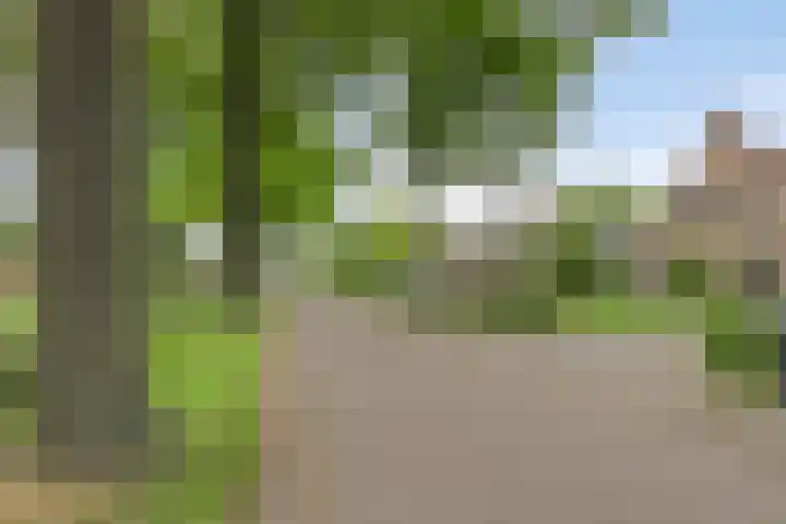 Boskdobbe 5 Frieschepalen thumbnail 59