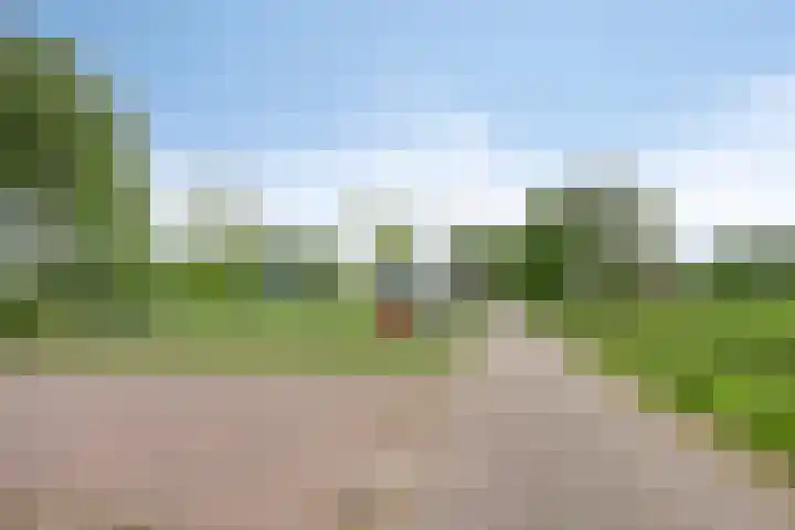 Boskdobbe 5 Frieschepalen thumbnail 60