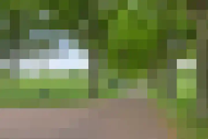 Boskdobbe 5 Frieschepalen thumbnail 62
