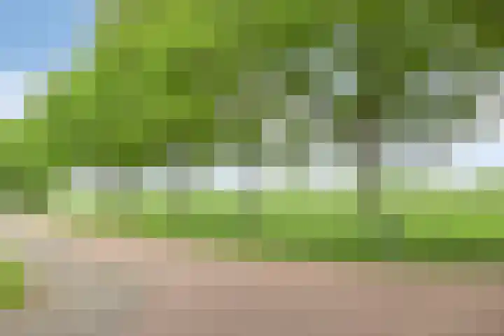Boskdobbe 5 Frieschepalen thumbnail 63