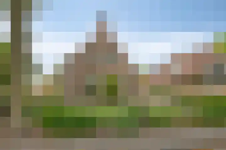 Boskdobbe 5 Frieschepalen thumbnail 7