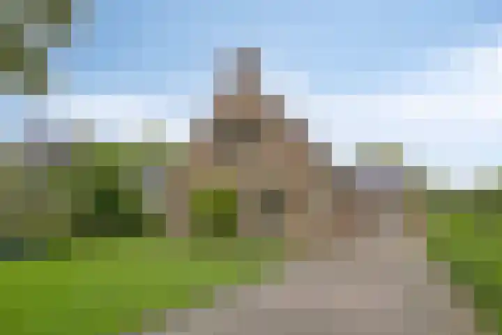 Boskdobbe 5 Frieschepalen thumbnail 70