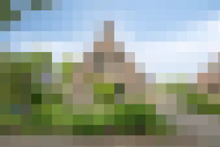 Boskdobbe 5 Frieschepalen thumbnail 8