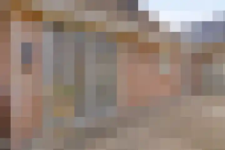 Boskdobbe 5 Frieschepalen thumbnail 9