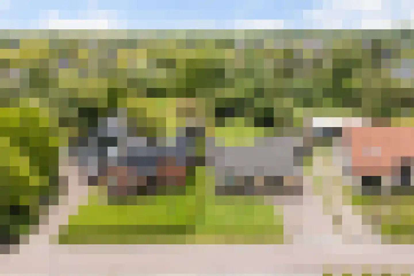 Boskdwarswei 3 A Sweagerbosk