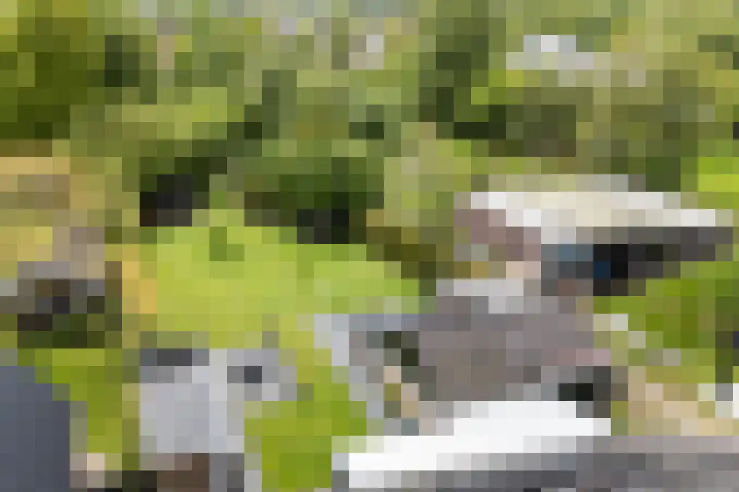 Boskdwarswei 3 A Sweagerbosk thumbnail 11