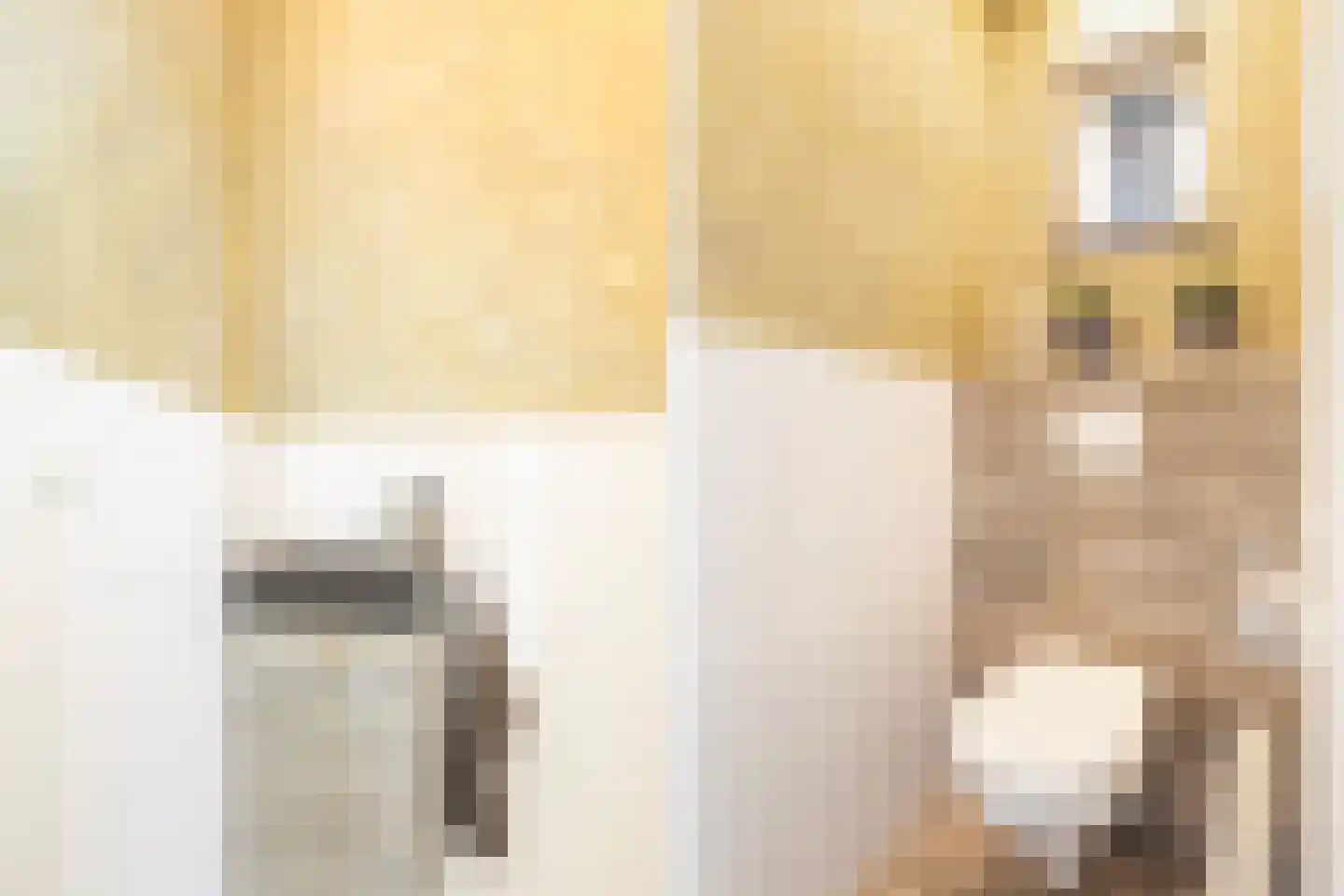 Boskdwarswei 3 A Sweagerbosk thumbnail 13