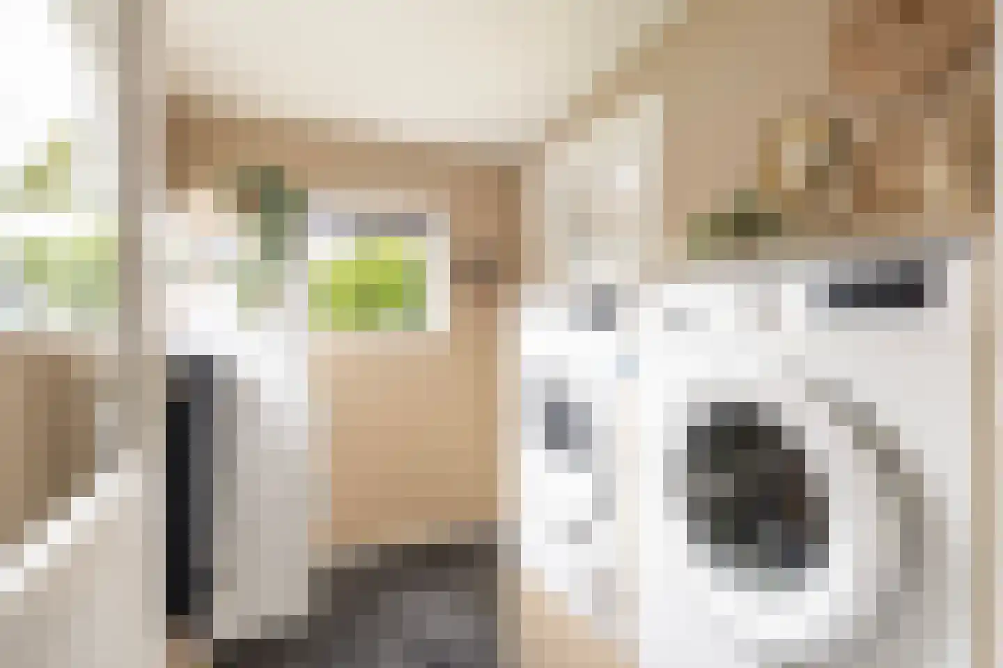 Boskdwarswei 3 A Sweagerbosk thumbnail 25