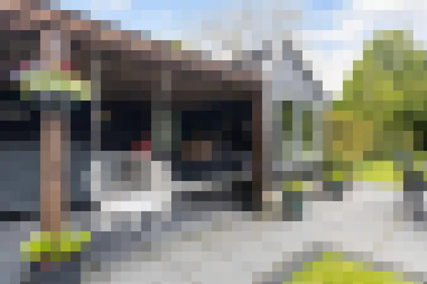 Boskdwarswei 3 A Sweagerbosk thumbnail 36