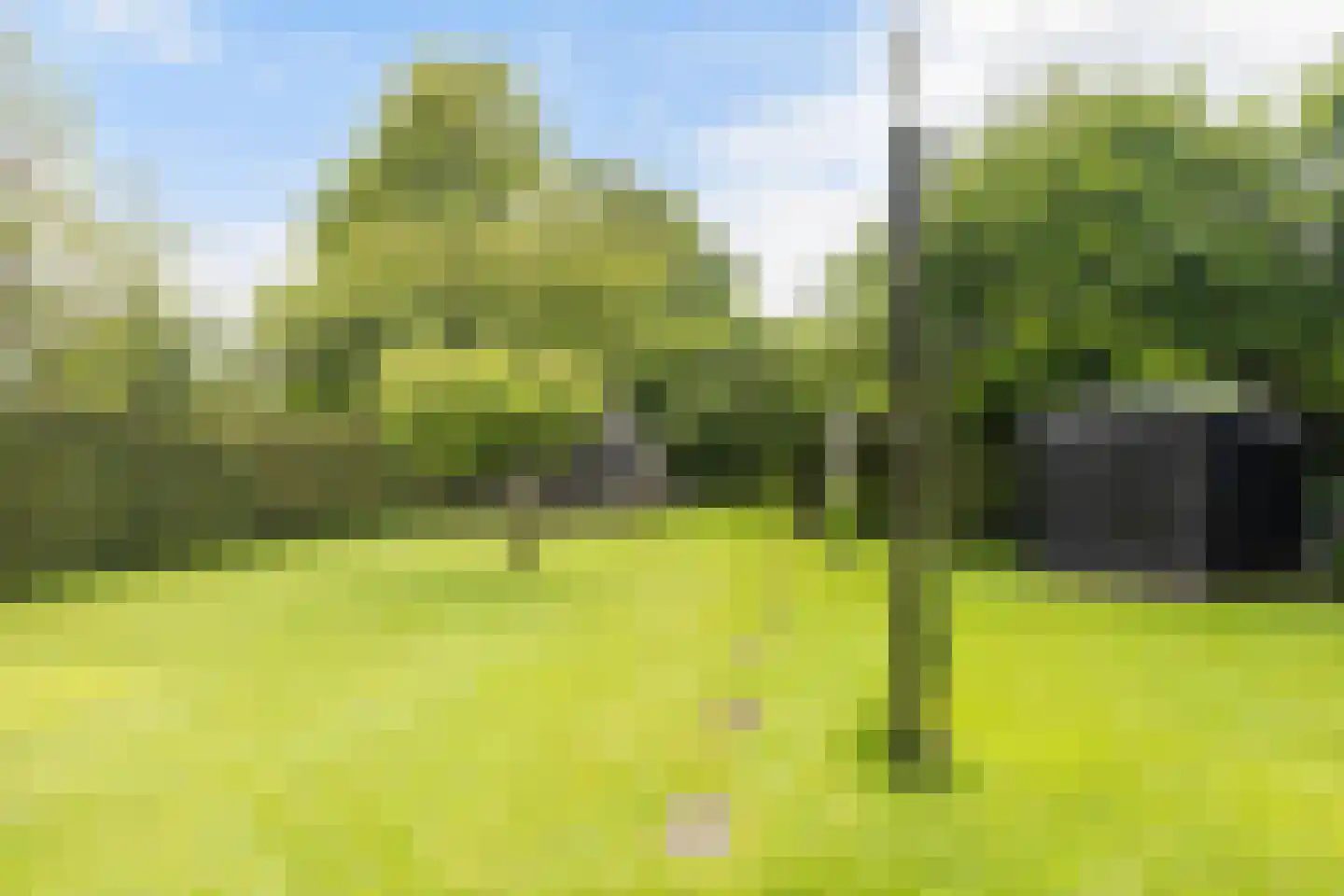 Boskdwarswei 3 A Sweagerbosk thumbnail 38