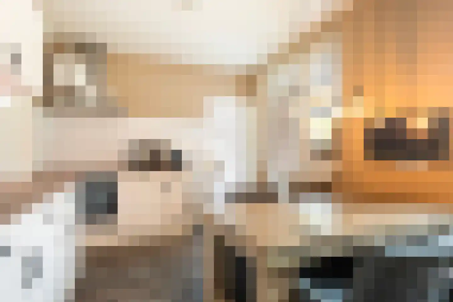 Boskdwarswei 3 A Sweagerbosk thumbnail 4