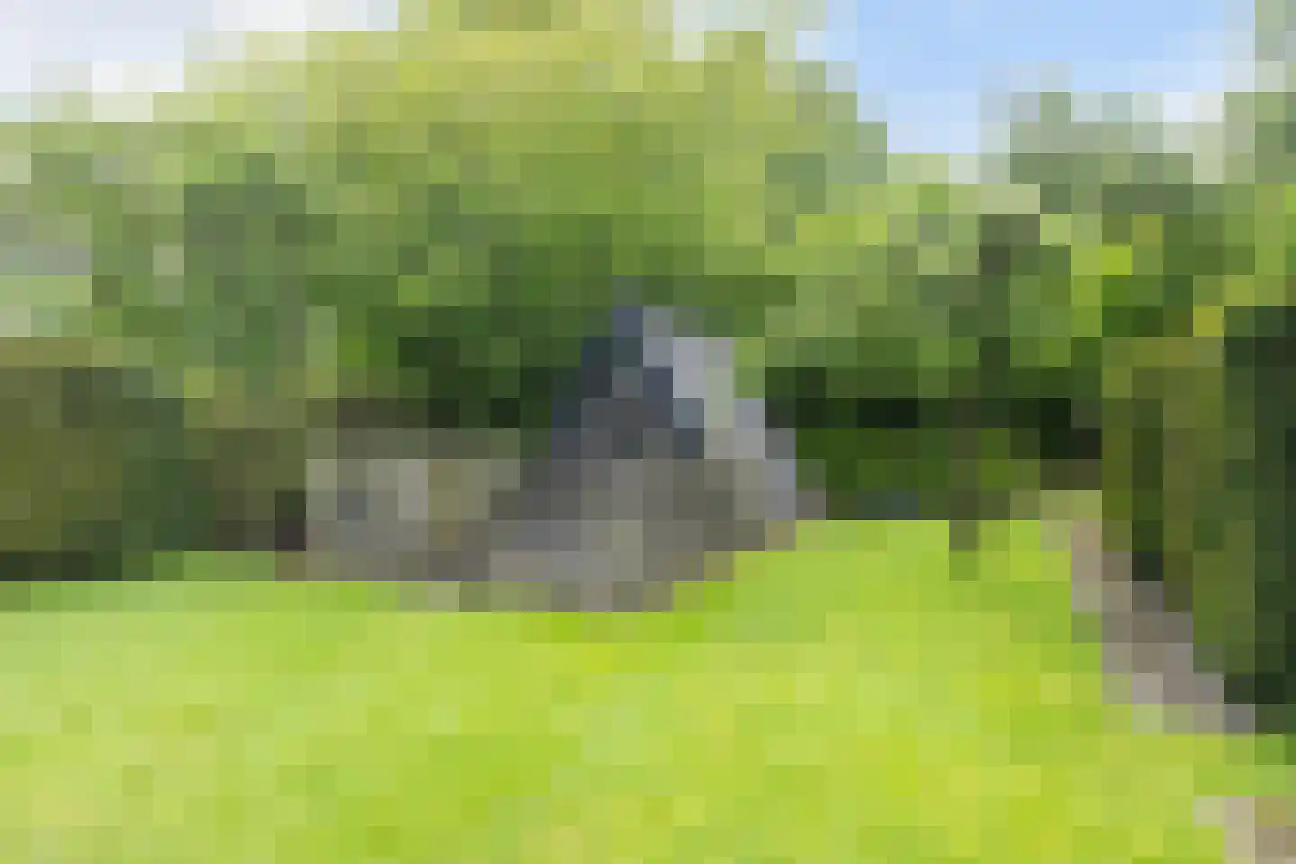 Boskdwarswei 3 A Sweagerbosk thumbnail 40