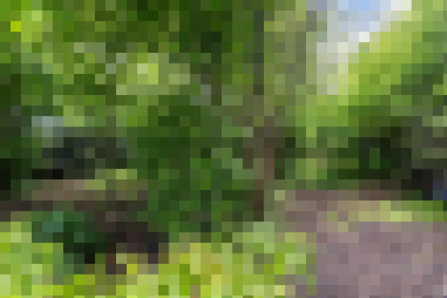 Boskdwarswei 3 A Sweagerbosk thumbnail 41