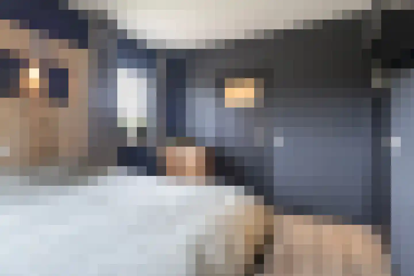 Boskdwarswei 3 A Sweagerbosk thumbnail 44