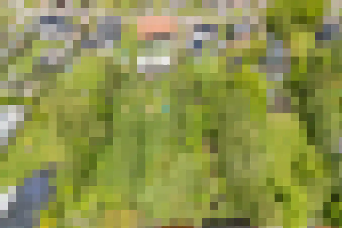 Boskdwarswei 3 A Sweagerbosk thumbnail 56