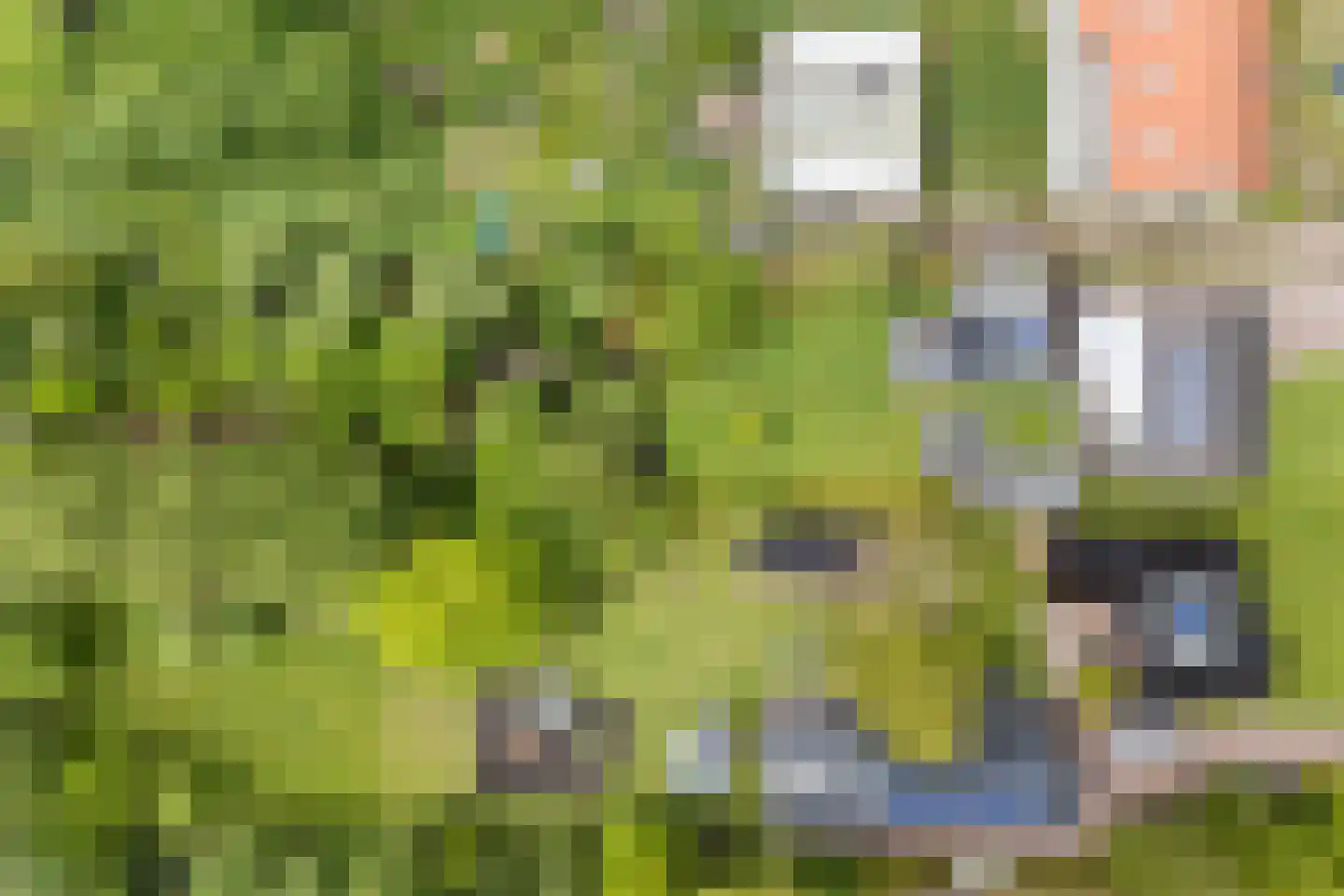 Boskdwarswei 3 A Sweagerbosk thumbnail 57