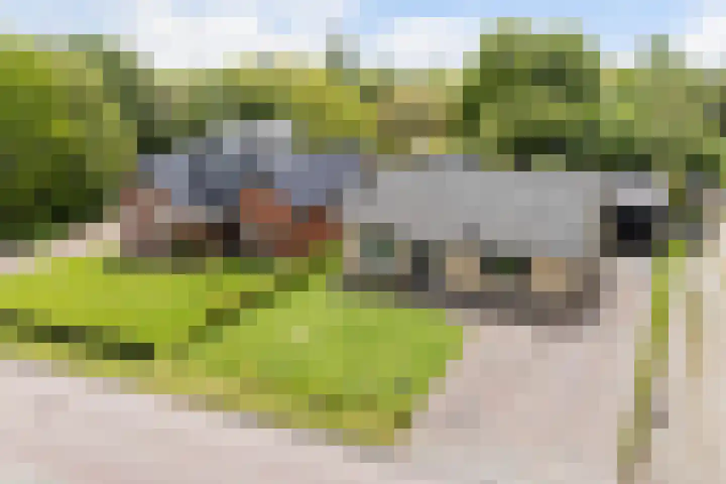 Boskdwarswei 3 A Sweagerbosk thumbnail 6
