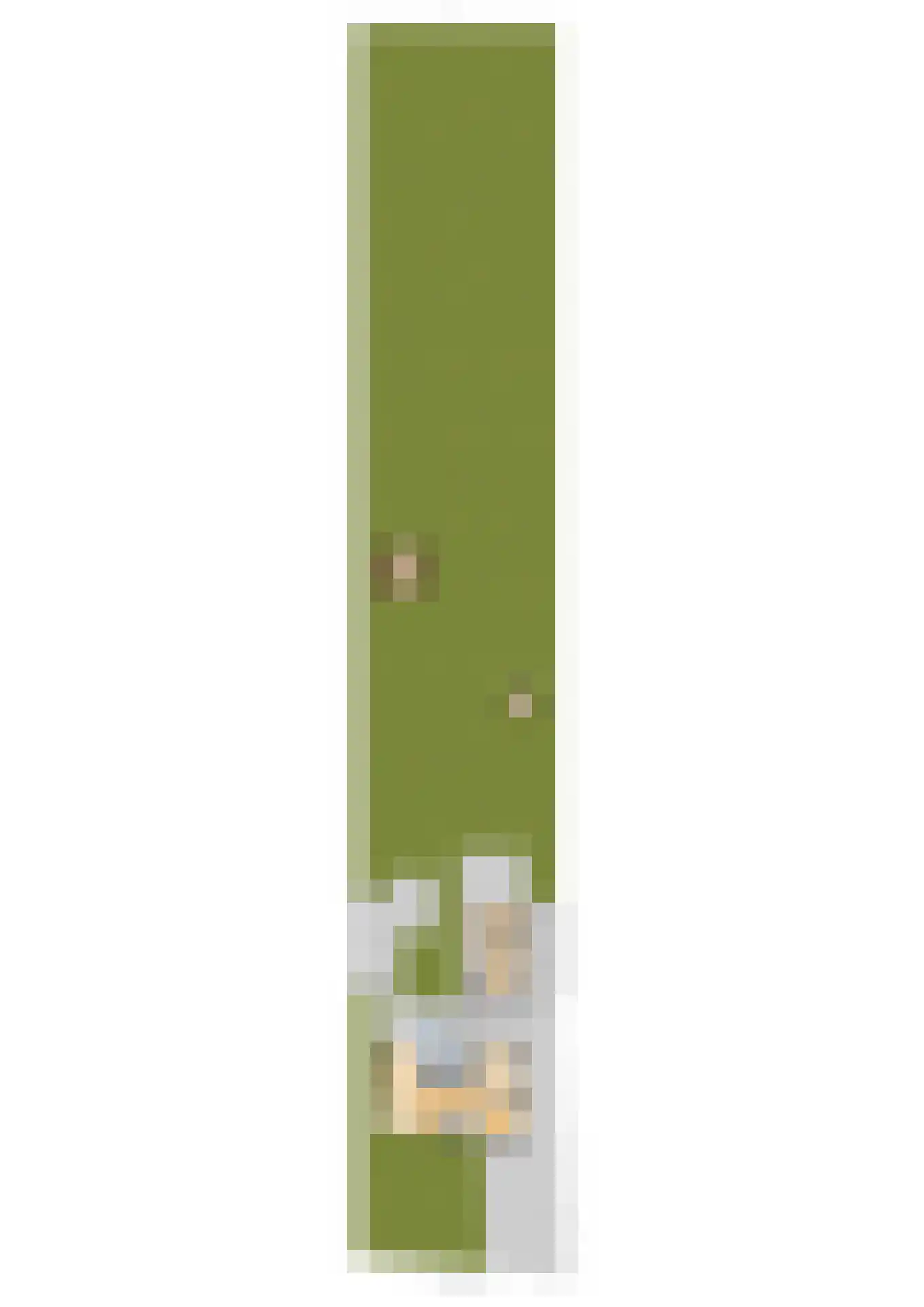 Boskdwarswei 3 A Sweagerbosk thumbnail 62