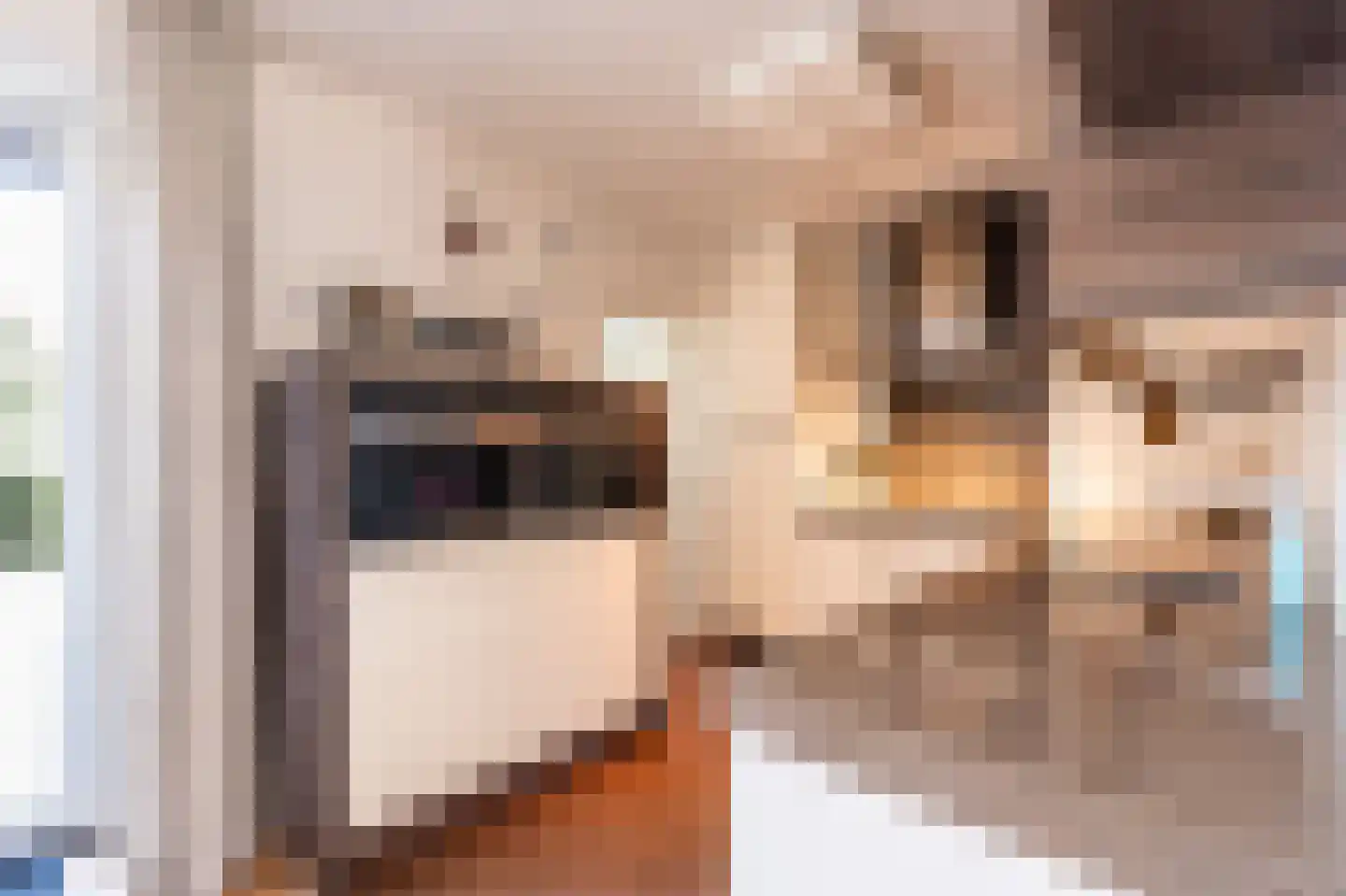 Boskerserf 8 Dalfsen thumbnail 20