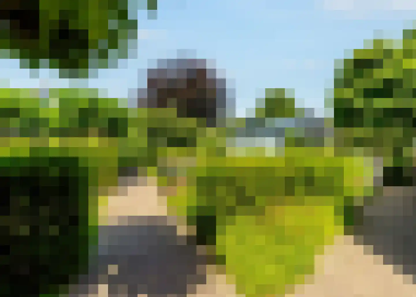 Boskerserf 8 Dalfsen thumbnail 44