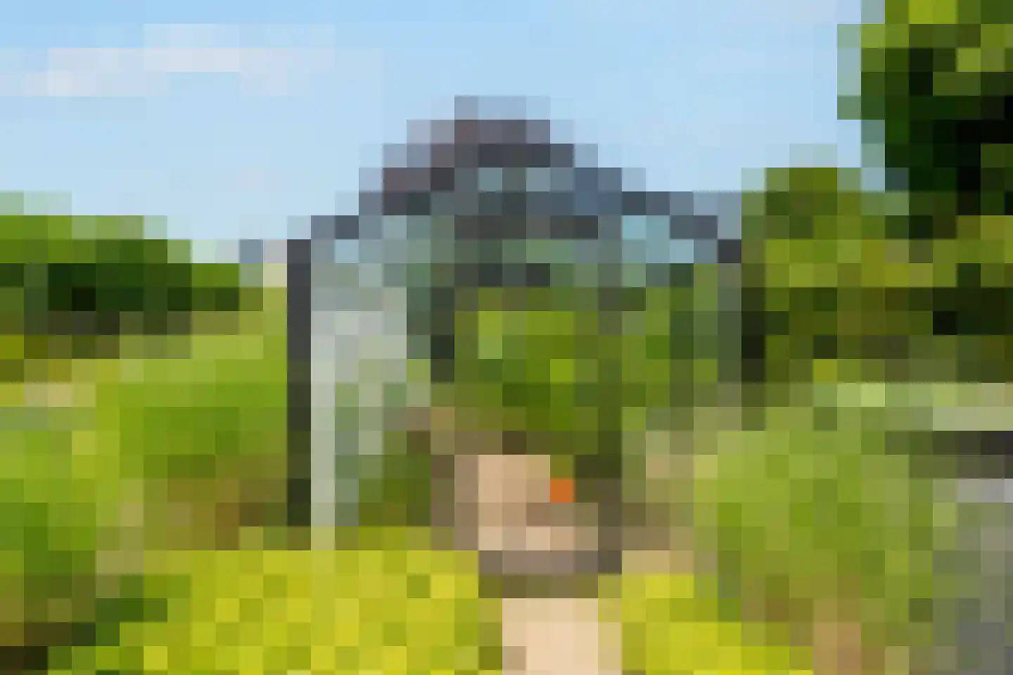 Boskerserf 8 Dalfsen thumbnail 45