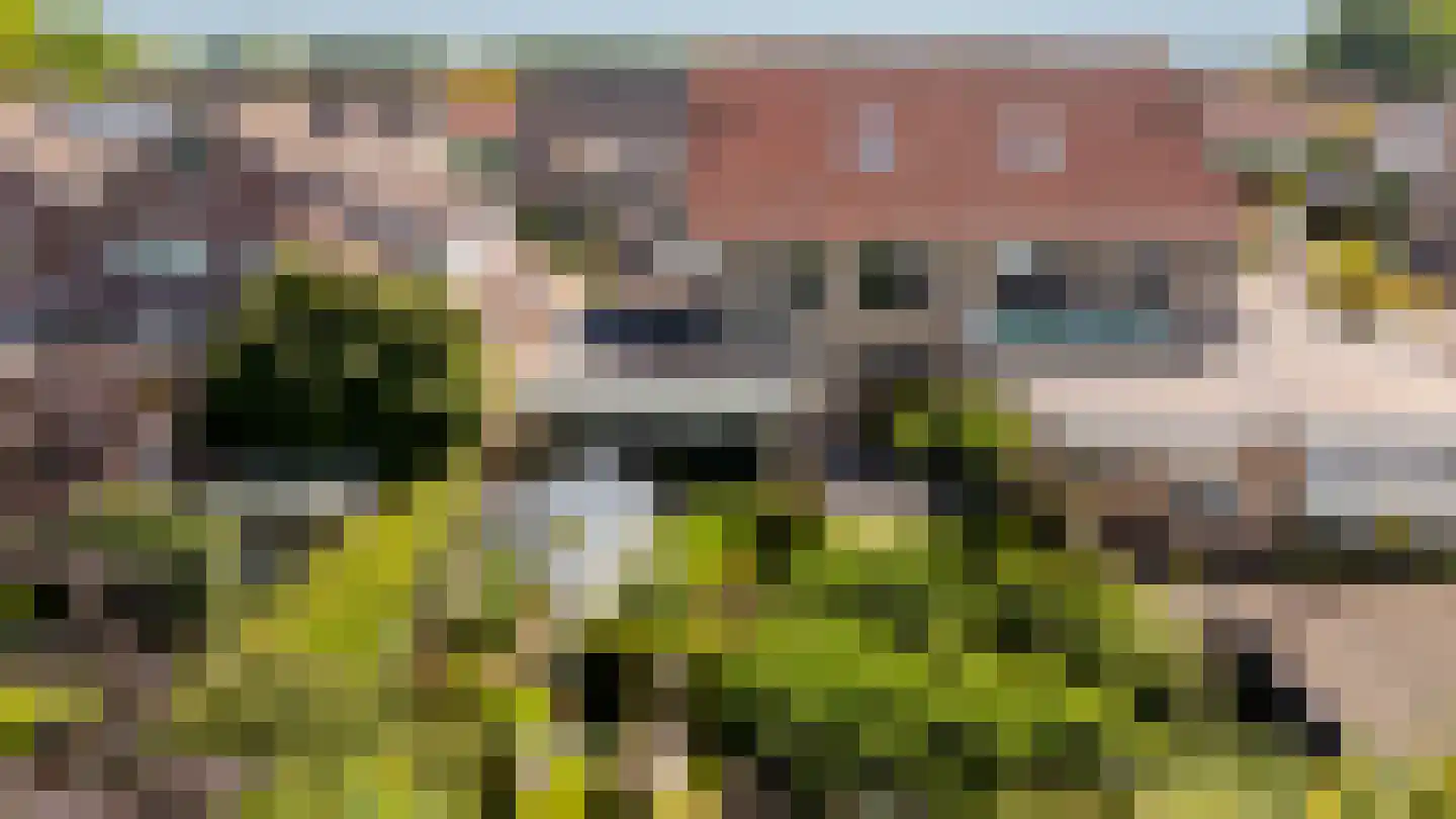 Boskerserf 8 Dalfsen thumbnail 49
