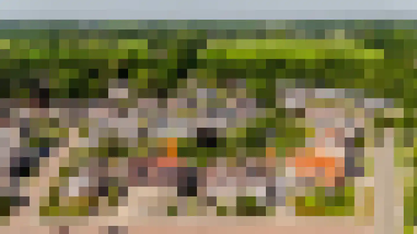 Boskerserf 8 Dalfsen thumbnail 50