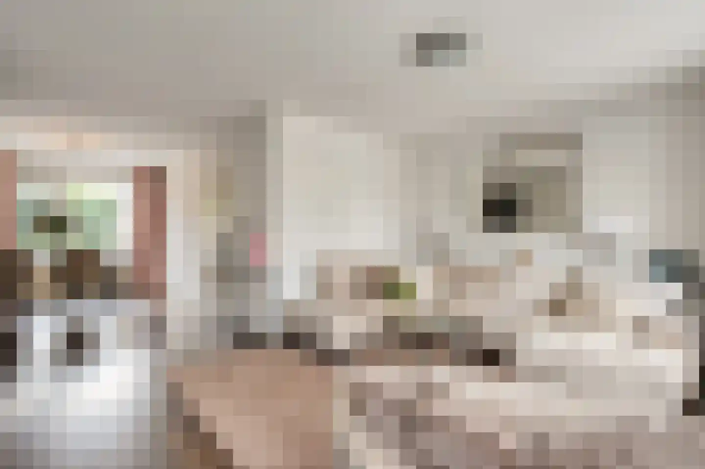 Boskerserf 9 Dalfsen thumbnail 10