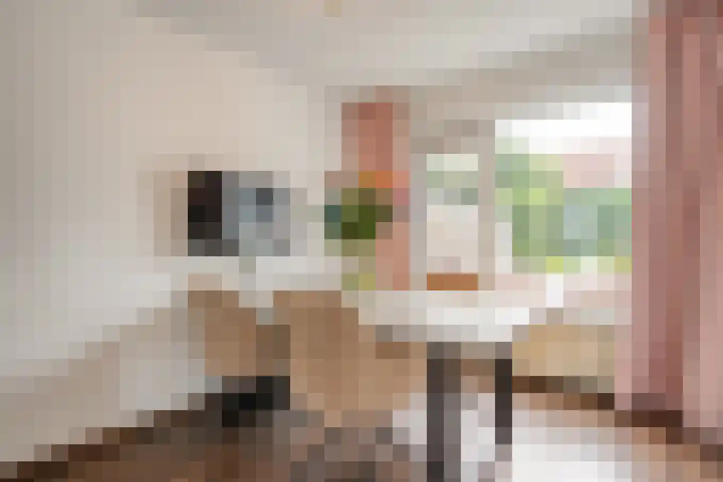 Boskerserf 9 Dalfsen thumbnail 15