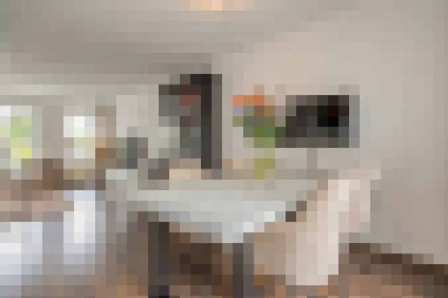Boskerserf 9 Dalfsen thumbnail 16