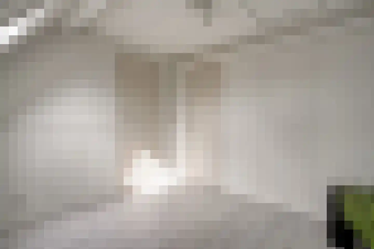 Boskerserf 9 Dalfsen thumbnail 37