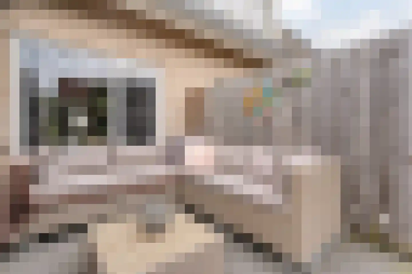 Boskerserf 9 Dalfsen thumbnail 40
