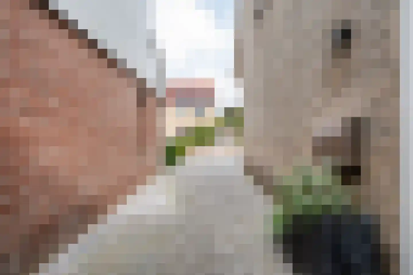 Boskerserf 9 Dalfsen thumbnail 46