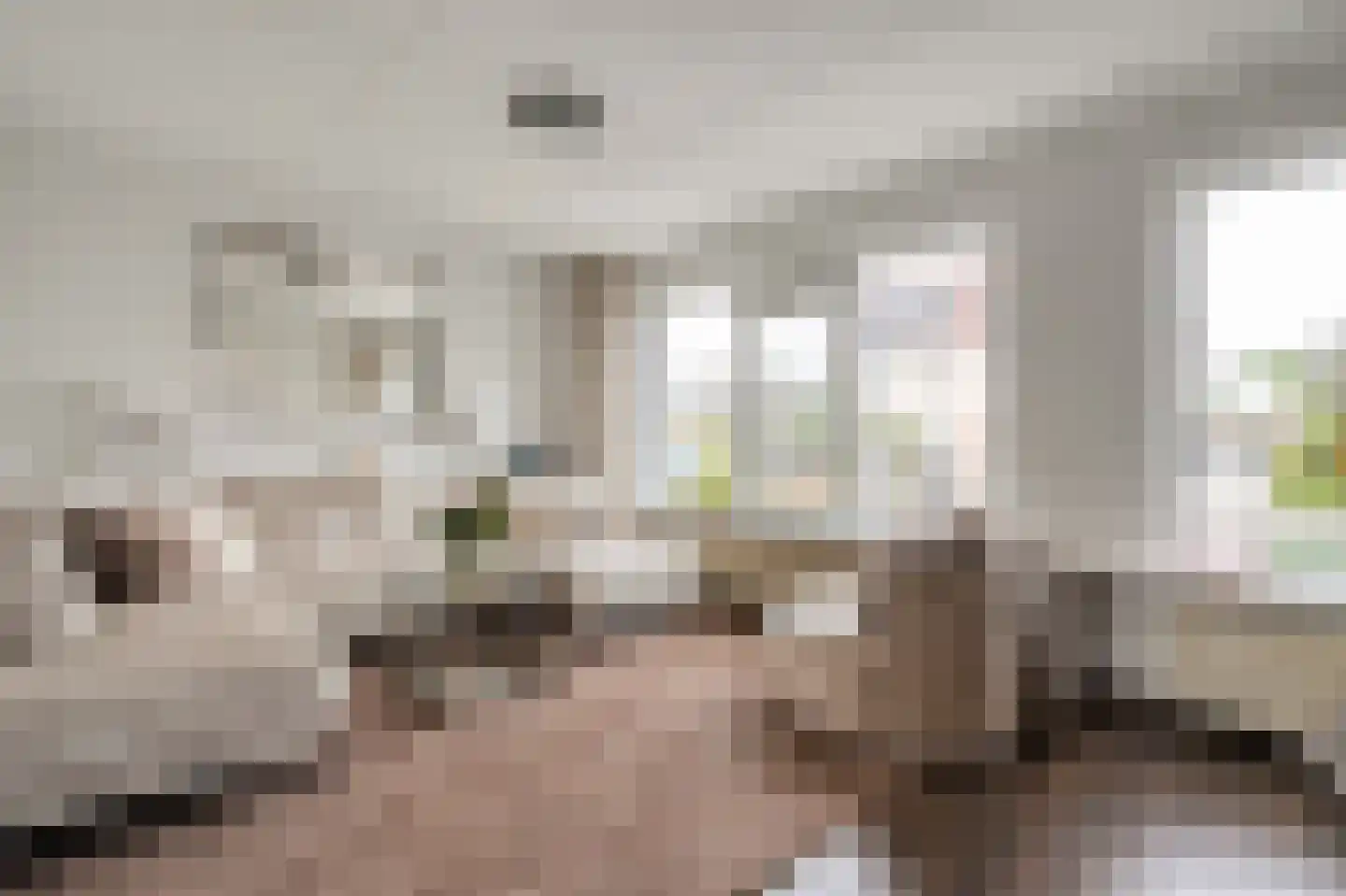 Boskerserf 9 Dalfsen thumbnail 9