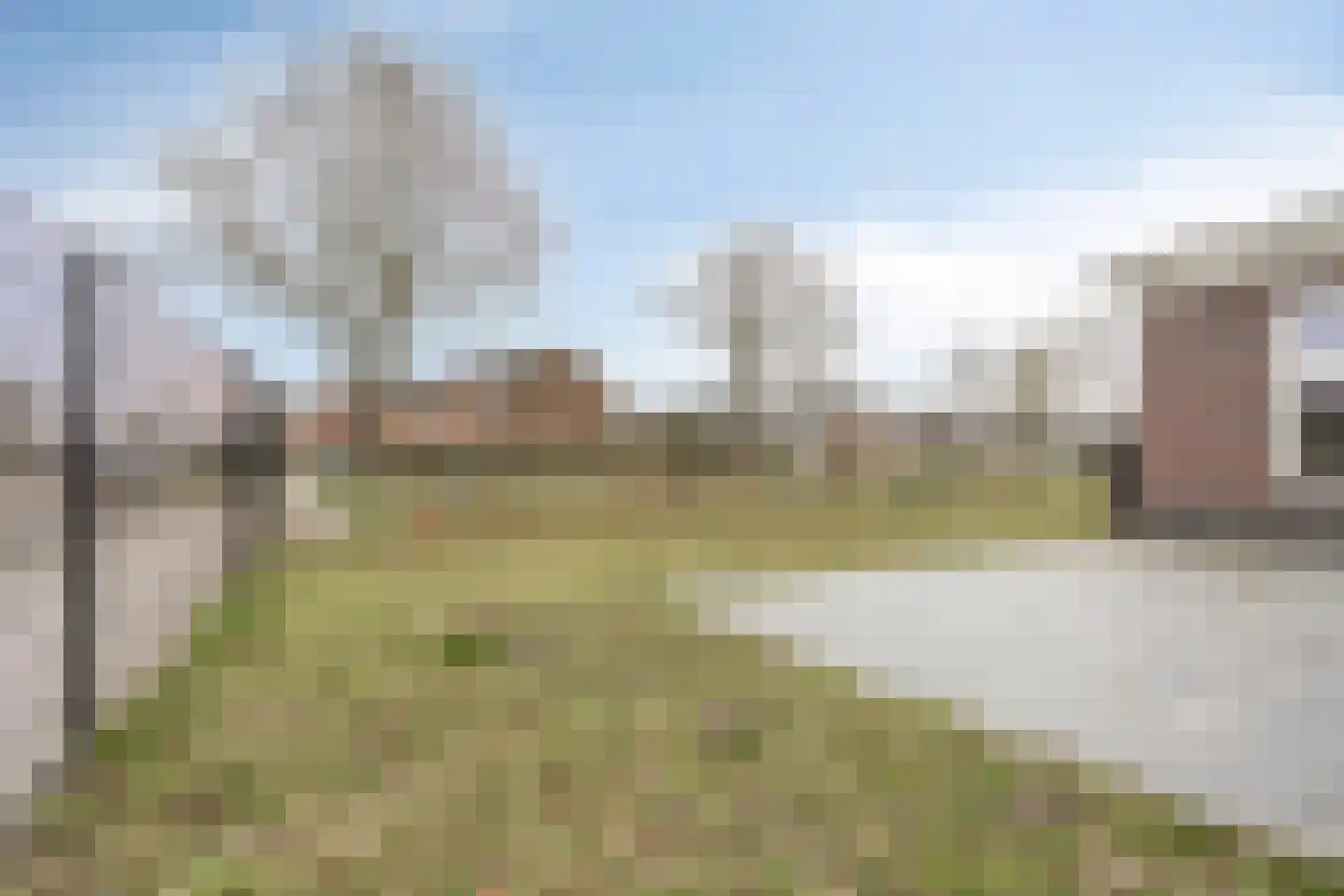 Boskkamp 2 Augustinusga thumbnail 32