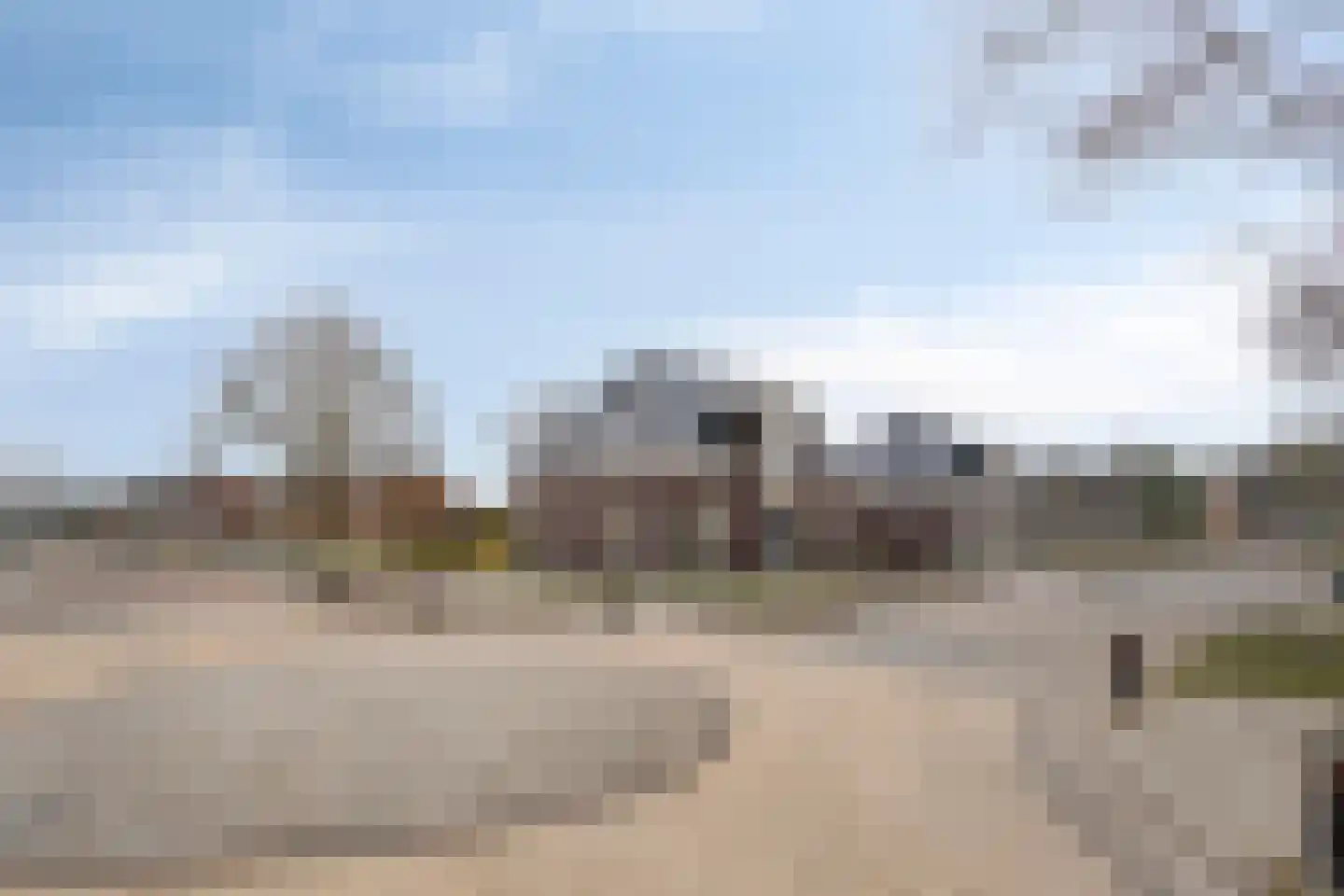 Boskkamp 2 Augustinusga thumbnail 36