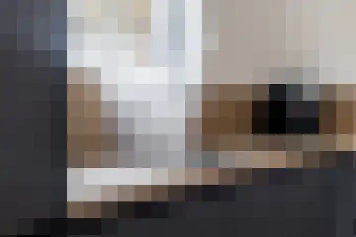 Boskkamp 2 Bakkeveen thumbnail 10