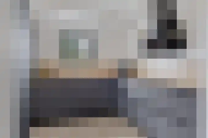 Boskkamp 2 Bakkeveen thumbnail 11