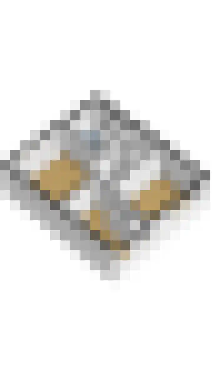 Boskkamp 2 Bakkeveen thumbnail 20
