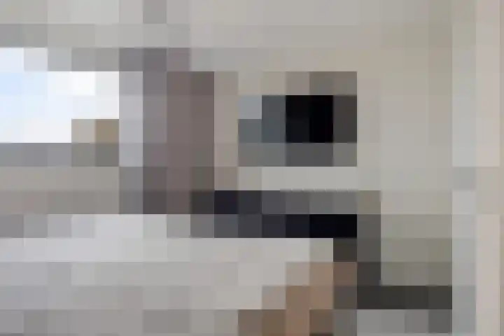 Boskkamp 2 Bakkeveen thumbnail 23