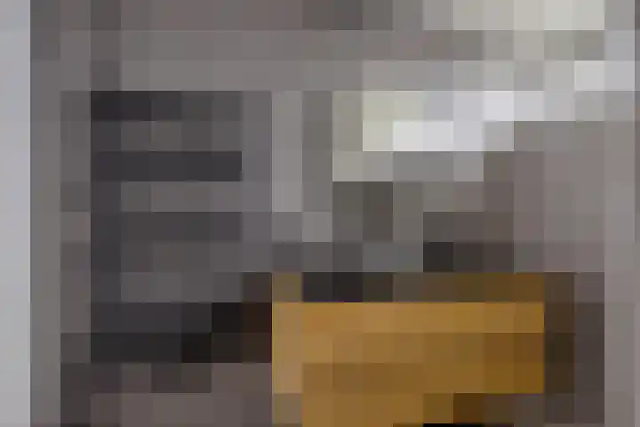 Boskkamp 2 Bakkeveen thumbnail 24
