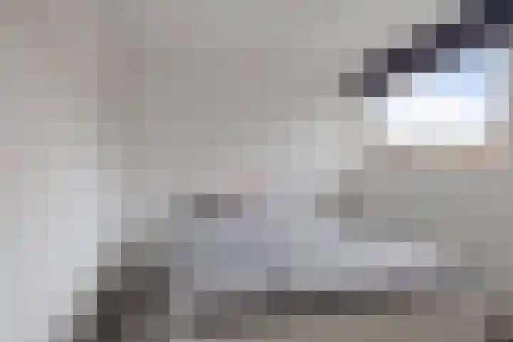 Boskkamp 2 Bakkeveen thumbnail 26