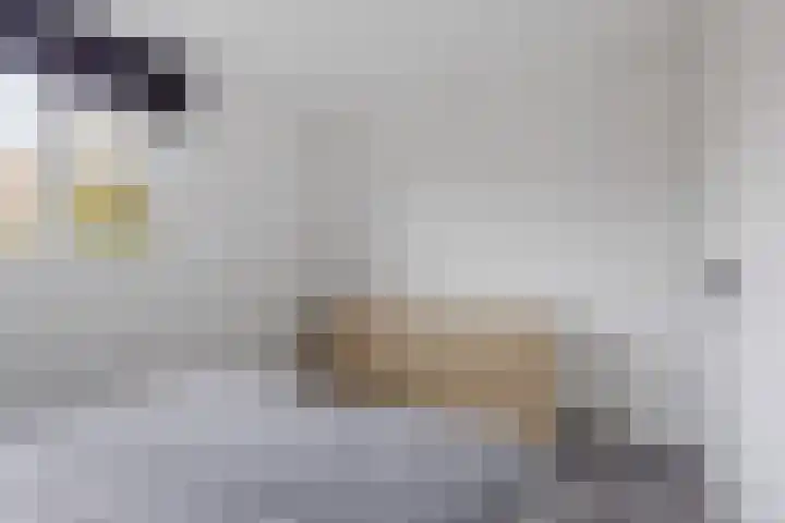 Boskkamp 2 Bakkeveen thumbnail 27