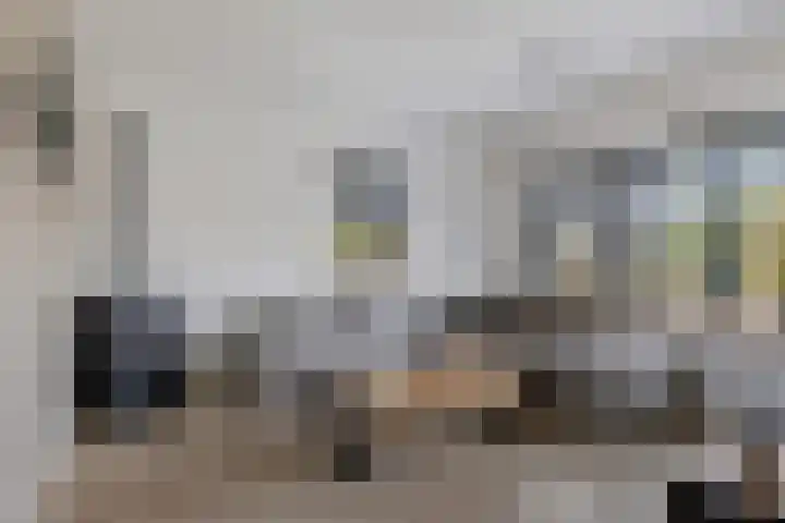 Boskkamp 2 Bakkeveen foto 3