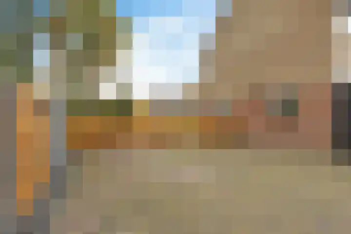 Boskkamp 2 Bakkeveen thumbnail 38