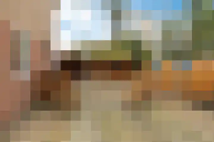 Boskkamp 2 Bakkeveen thumbnail 40