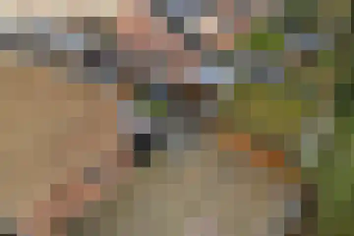 Boskkamp 2 Bakkeveen thumbnail 41